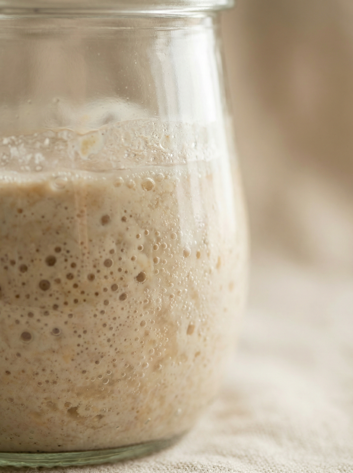 Lactobacillus Ferment (Probiotic)